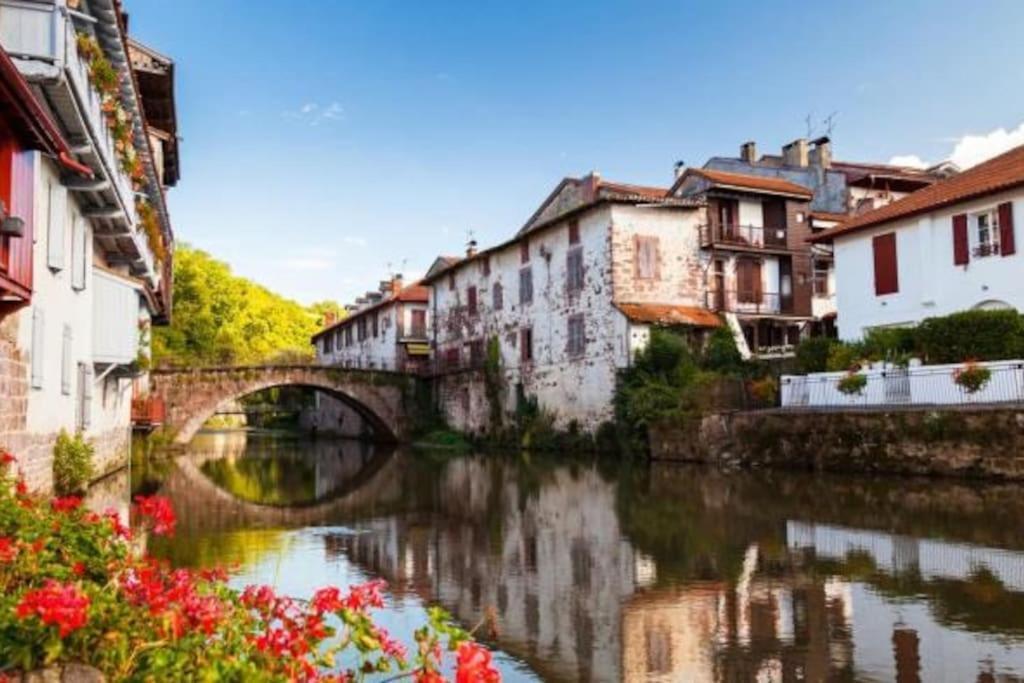 Villa Bergerie Geldi Leku Saint-Jean-le-Vieux  Esterno foto