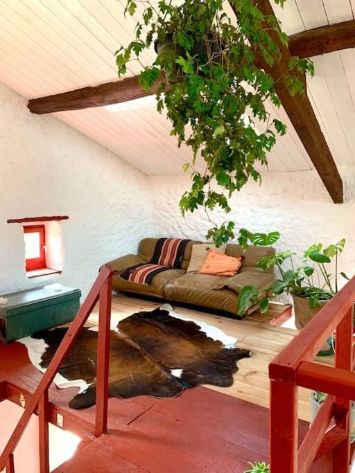 Villa Bergerie Geldi Leku Saint-Jean-le-Vieux  Esterno foto